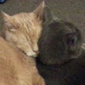 Meet your Posher, Kareena